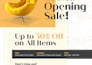 design professional business flyer
